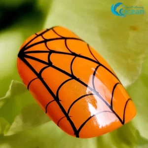 Nail in An Bang beach Hoi An 3